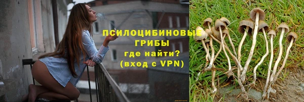 соль ск Армянск